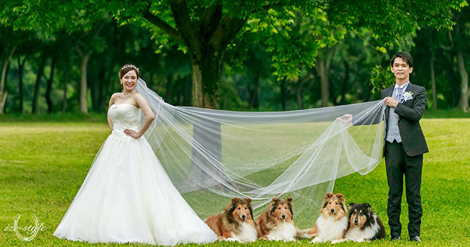 自宅結婚式　ウェディングドレス　フォト婚礼　挙式　犬との結婚式